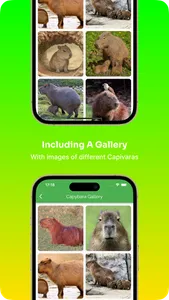 Capybara: Care Guide & Fun screenshot 2