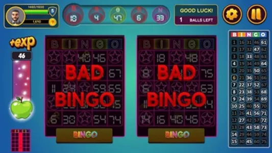 Bingo Classic! screenshot 1