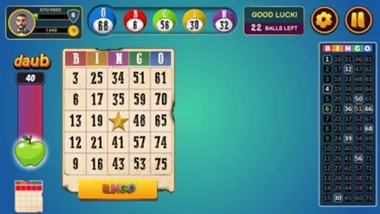 Bingo Classic! screenshot 3