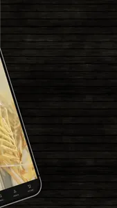 MARINA HOME screenshot 1