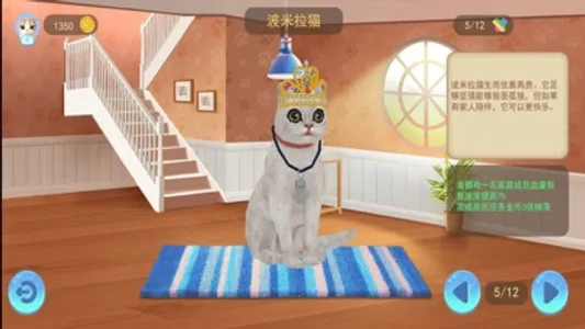 猫咪生存模拟器-猫咪幸福生活二重奏 screenshot 0