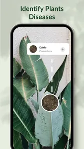 Plant Identifier &Disease Care screenshot 2