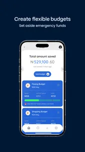 EverydayMoney - Budget & Spend screenshot 6