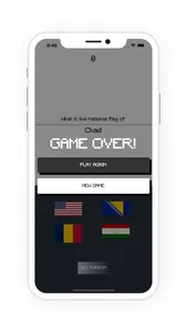 Choose The Flag screenshot 3