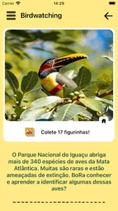 BoRA - Iguaçu National Park screenshot 3