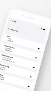 Hebrew Phrasebook (Travel) screenshot 1
