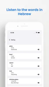 Hebrew Phrasebook (Travel) screenshot 2