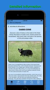 Pigeon Forge Pocket Guide screenshot 2