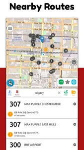 Calgary Transit RT screenshot 1