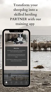 Sheepdog School screenshot 0