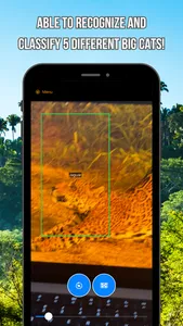 The Big Cat Classifier screenshot 3