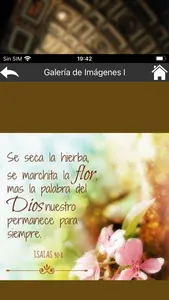 Promesas Bíblicas y Biblia screenshot 3