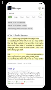 Inout Search Engine AI Edition screenshot 2