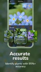 Plant ID - Flower Identifier screenshot 1