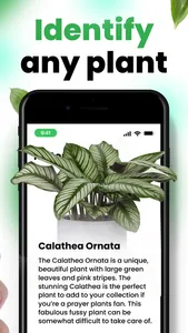 Plantix - Plant Identifier screenshot 1