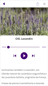 O Lavandário screenshot 2