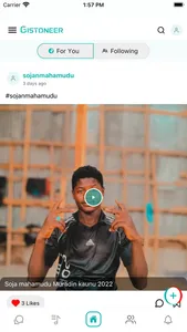 Gistoneer screenshot 1