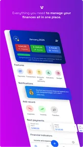 FinVibe - Budget Planner screenshot 1