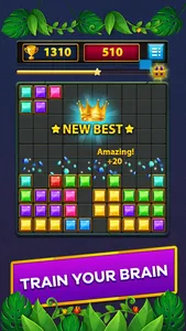 Block Puzzle: Brain Test screenshot 4