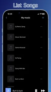 Hola Offline Music Player screenshot 4