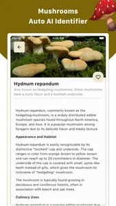 Mushroom ID : Identifier, Scan screenshot 2