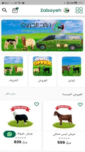 zabayeh al jazeera screenshot 0