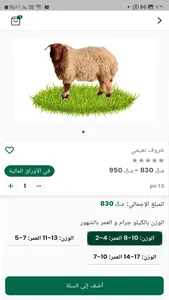 zabayeh al jazeera screenshot 2