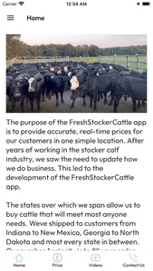 Fresh Stocker Cattle screenshot 2