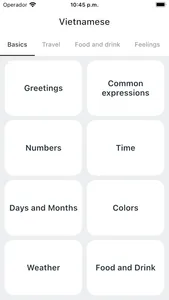 Everlang: Vietnamese screenshot 1