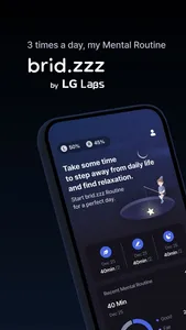 brid.zzz screenshot 0