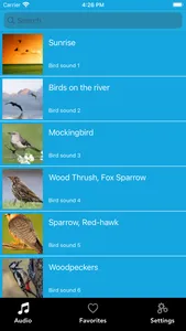 Bird calls, songs and chirp screenshot 0