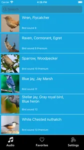 Bird calls, songs and chirp screenshot 1