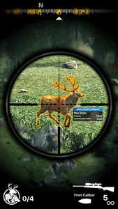 Deer Hunter! screenshot 0