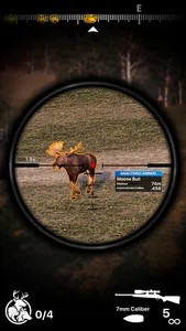 Deer Hunter! screenshot 4