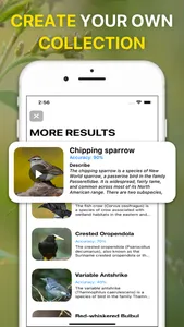 Bird Sounds Identifier Call ID screenshot 4