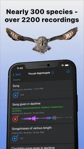 Bird Sounds of Northern Europe screenshot 0