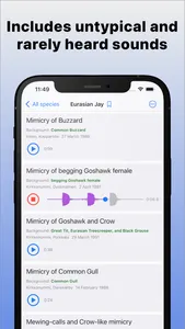 Bird Sounds of Northern Europe screenshot 1