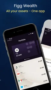 Figg Wealth screenshot 0