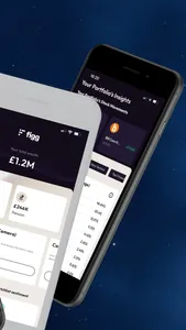 Figg Wealth screenshot 1