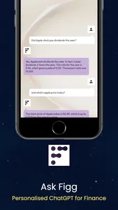 Figg Wealth screenshot 6