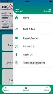 GDF screenshot 1