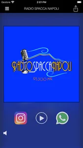 RADIO SPACCA NAPOLI screenshot 0