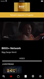 BIGG+ NETWORK screenshot 0