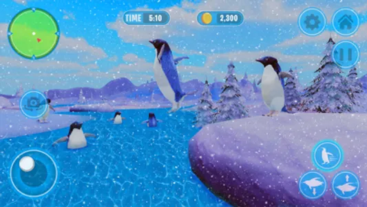 Penguin Simulator Arctic Bird screenshot 1