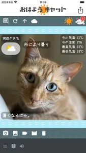 おはようキャット - 天気予報 screenshot 1