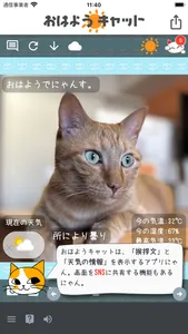 おはようキャット - 天気予報 screenshot 2