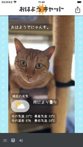 おはようキャット - 天気予報 screenshot 3