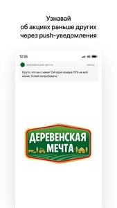 Деревенская мечта screenshot 0