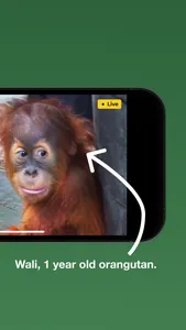 zoolife screenshot 1