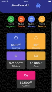 Control de Gastos Manager screenshot 7